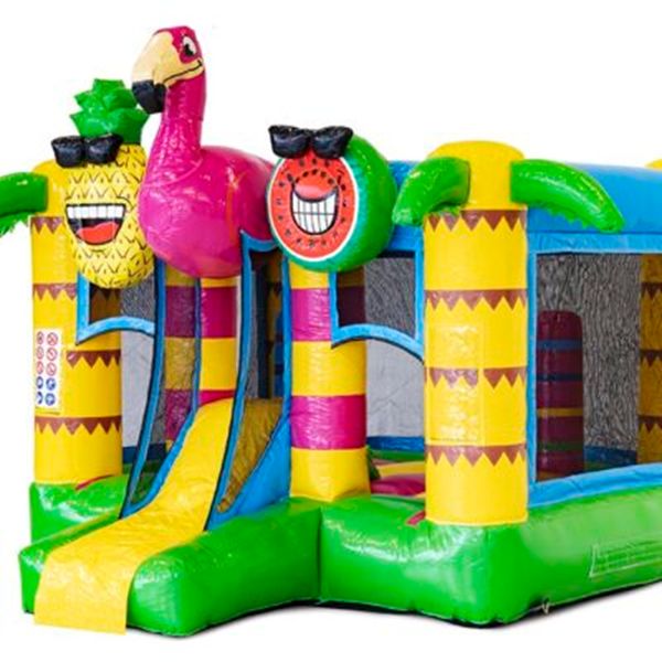 Mini Bounce Flamingo 5